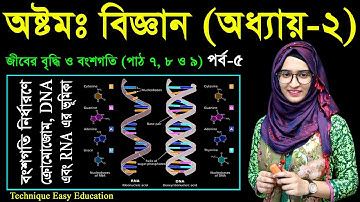 19. Class 8 Science Chapter 2 (Part-05) ll JSC Biggan Chapter 2 ll Eight Biggan 2 ll মাইটোসিস