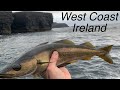 Sea fishing  west coast of ireland  how to dig rag and lugworm for bait on the beach