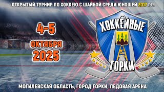 картинка: 4.10.2025. ХГ. 2017. ПП. Горки-2 – icecity