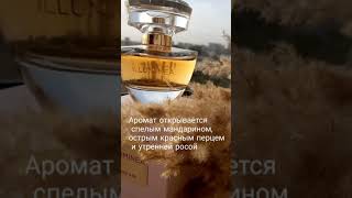 Новинка с 16 октября #духи Illuminea от Mary Kay #marykay