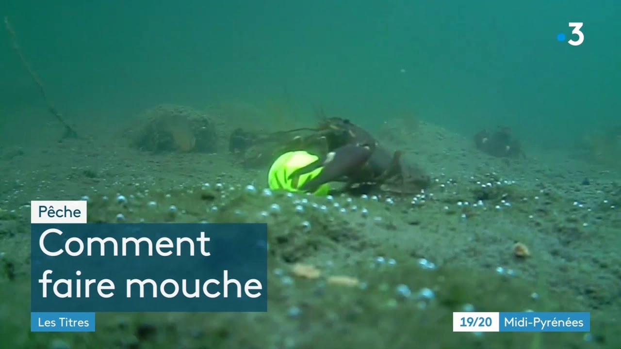 FRANCE 3 : Une innovation pour la pêche des carpes : Biocompostable et Écoresponsable