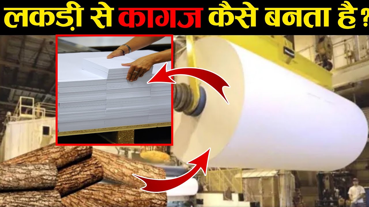 फैक्ट्री में इस तरह बनाया जाता है कागज how make paper in factory