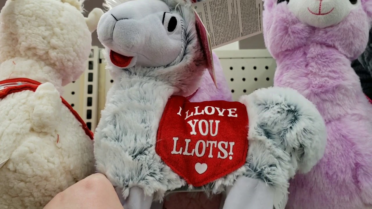 I found the weirdest valentines day gifts at walmart youtube