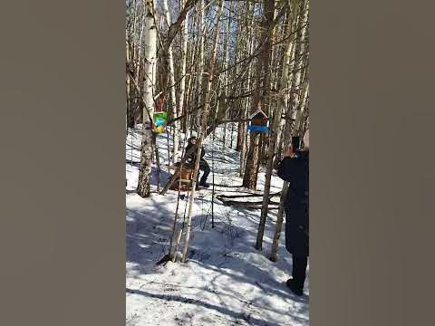 Северный Артек ️‍🩹 #север #братск #имба #рекомендации #subscribe - YouTube