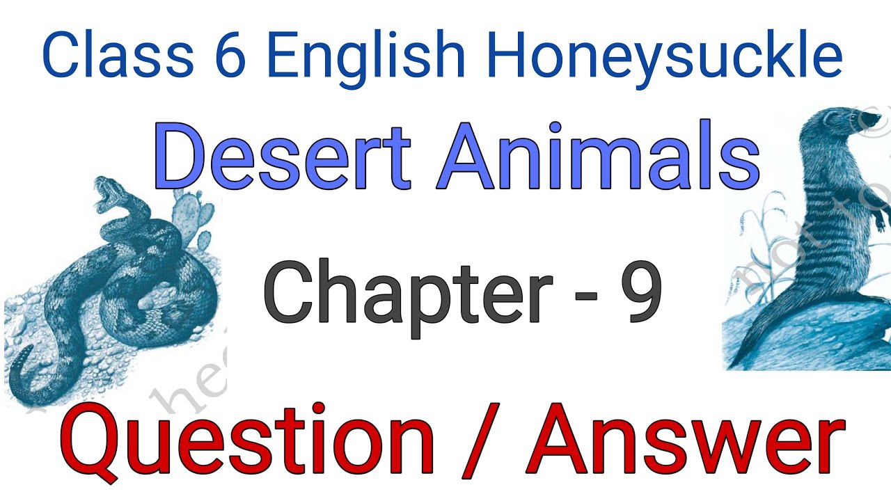 Desert Animals Question Answer Class 6 English Chapter 9 Question Answer Youtube
