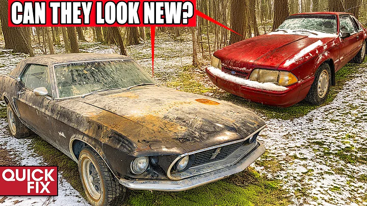 Cleaning The DIRTIEST Abandoned Ford Mustangs! | Quick Fix