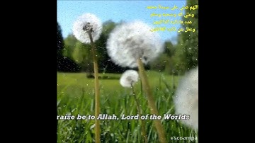 السبع المثاني والقرآن العظيم وتلاوه مبدعه 🥀 بصوت يبعث على الهدوء والطمأنينة 🥀