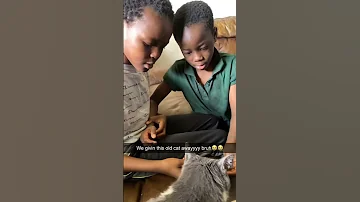 Racist Cat 