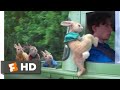 Peter Rabbit - Wet Willy Rescue Scene | Fandango Family