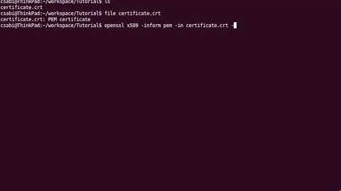 Convert a PEM encoded certificate to a DER encoded certificate with OpenSSL