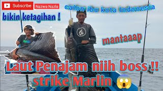 Rezqi besar !!! mancing di laut Penajam bisa strike ikan Marlin