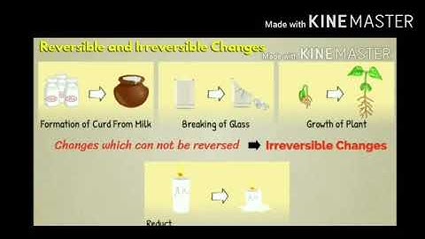 MLZS JHANSI CLASS 6 Science Chapter 6 Lecture 2