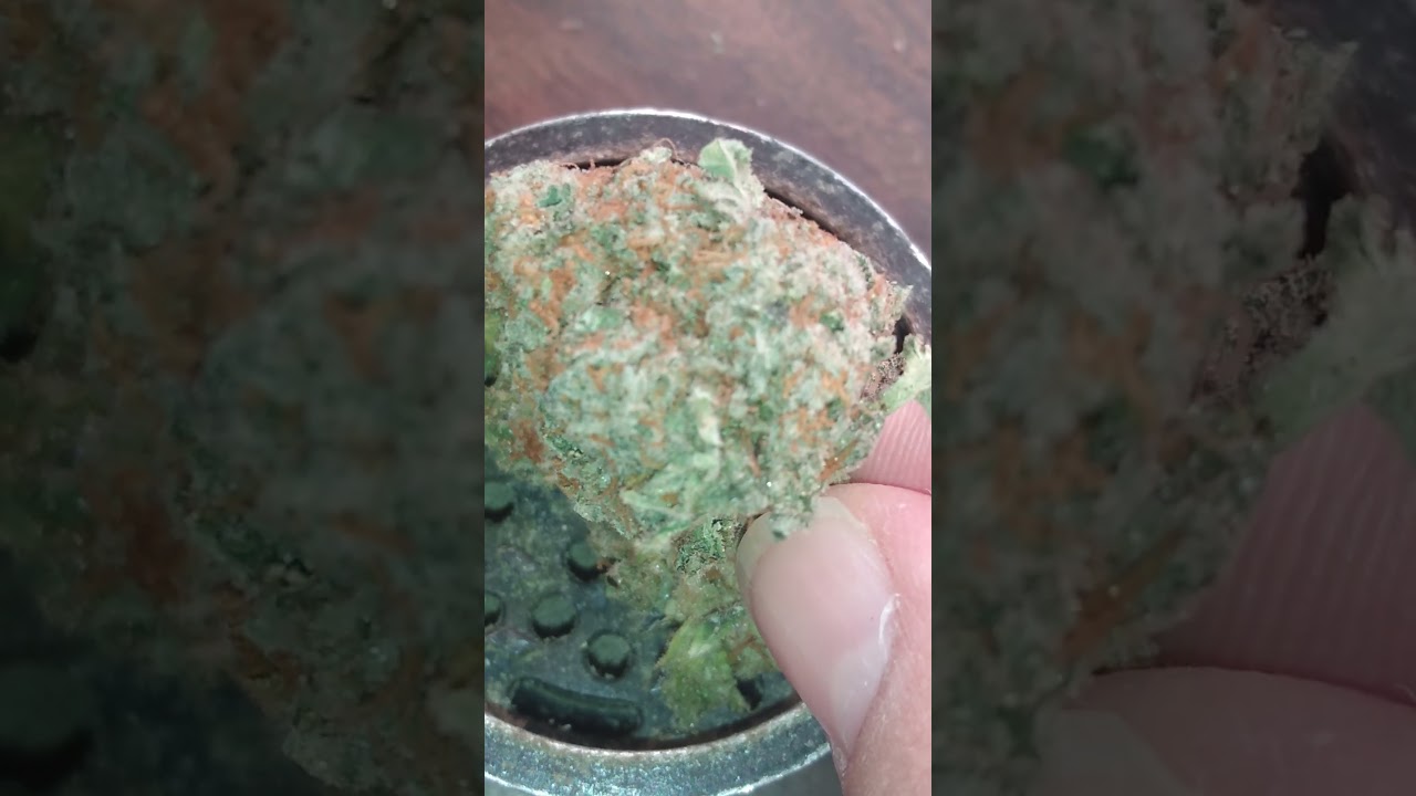 Illuminati OG. 🔥🔥💨 