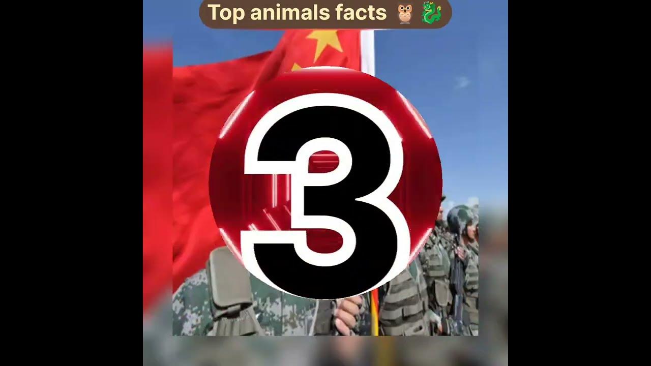 Crazy Facts About Animals 2022 Random Facts Mind Blowing Animals crazy-facts-about-animals-2022-random-facts-mind-blowing-animals