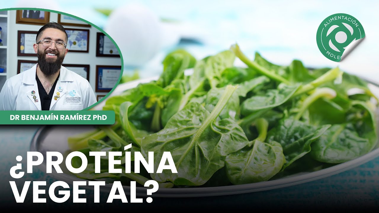 🌱🍽️Platos sin proteína animal: Cómo evitar errores comunes - Conferencia # 59 - Dr Benjamín PhD