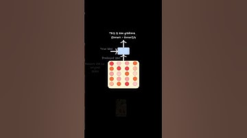 How does a large Neural Network learn?  #TWCShorts