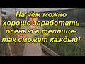 Отличная бизнес-идея осеннего выращивания лука на перо из семян!