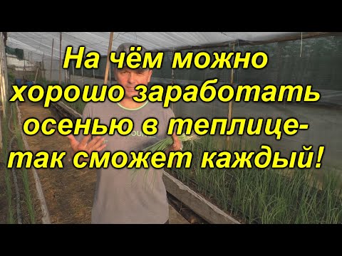 Видео: Сеялки из лавы и перьев – выращивание растений в вулканических породах