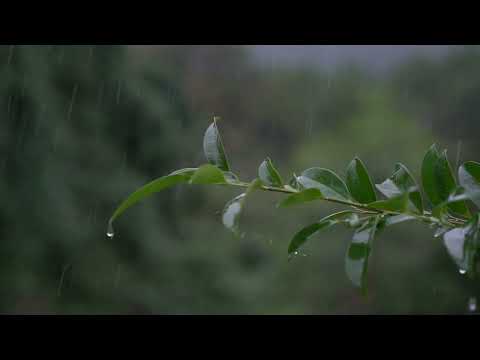 Relaxing Piano Music and Rain Sounds for Sleeping Deeply and Healing Insomnia Naturally