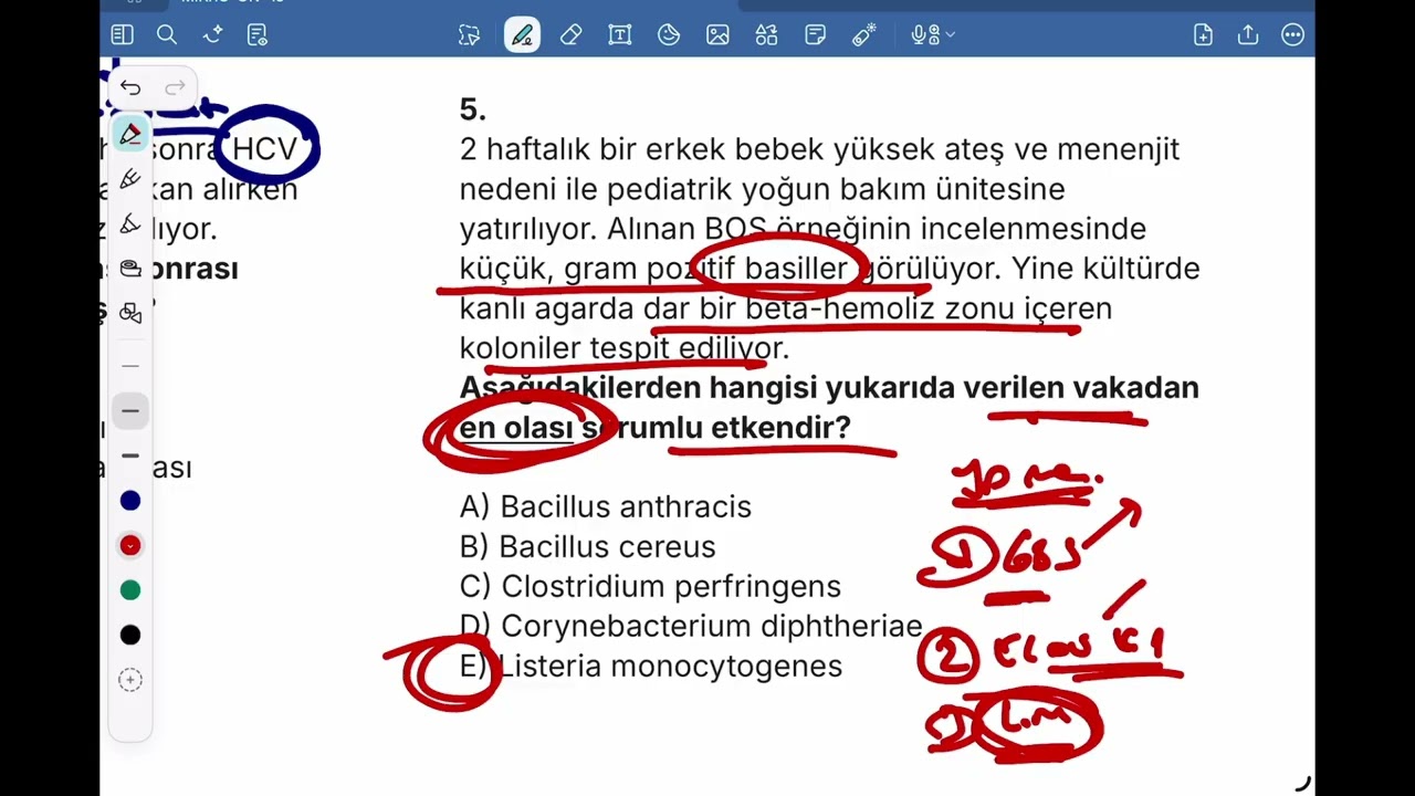 13. MİKRO-ON DENEME SINAVI-13