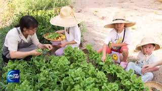 HOLIDAY IN RURAL COMMUNITIES [KBS WORLD News Today] l KBS WORLD TV 220801