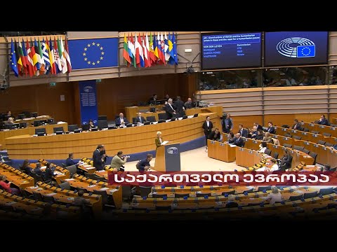 საქართველო ევროპაა | თენგო გოგოტიშვილის რეპორტაჟი