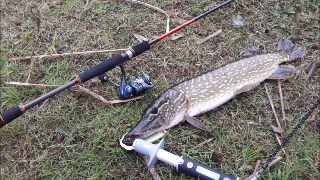 SAMSUN TURNA BALIĞI AVI ESOX LUCIUS HUNTING YouTube