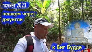 Пхукет2023. Самостоятельно пешком через джунгли к храму Биг Будда (Big Budda). Для путешественников.