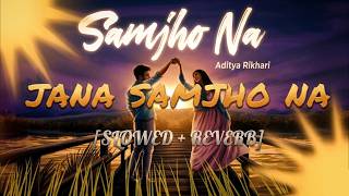 Jaana Samjho Na (Slowed + Reverb) | Bhool Bhulaiyaa 3 | Aditya Rikhari , Tulsi Kumar | lofi song 🎧