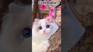cute baby 😍#pubglover #pubgamer #pubggamergirl