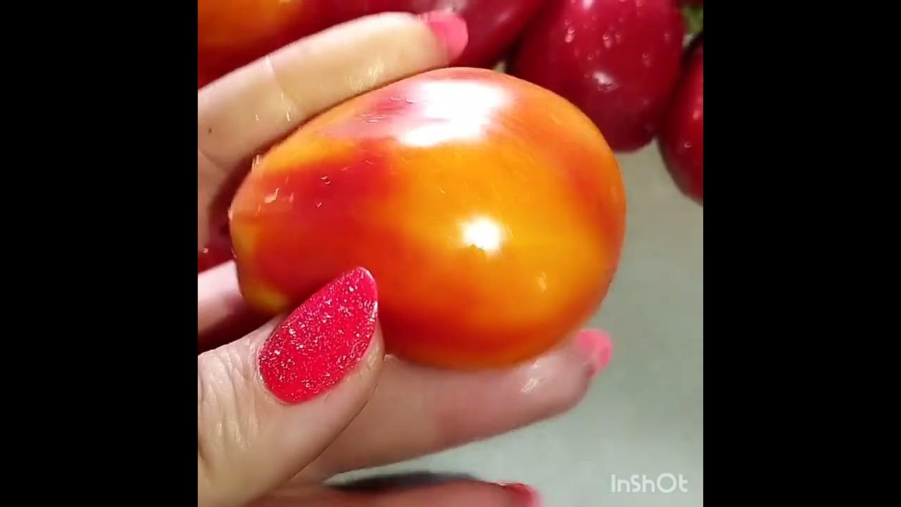 Обзор томата Тюльпан калифорнийский . 🌷🌷🌷 - YouTube