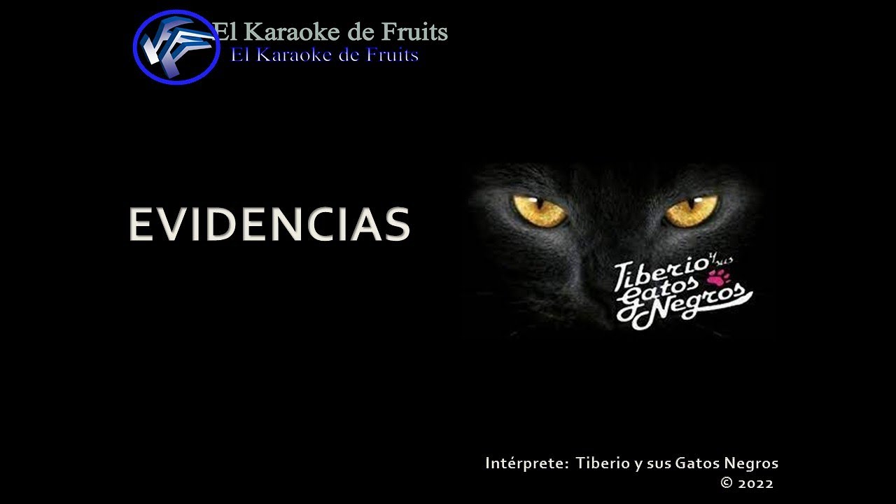 Tiberio y sus gatos Negros Evidencias Karaoke