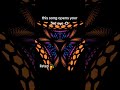 Poppin by Collective Mind #highvibemusic #consciousmusic #3rdeye #spirituality
