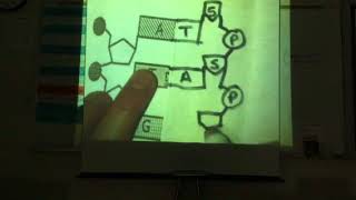 DNA Replication Foldable