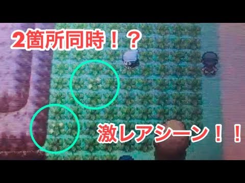 ポケトレ 13 色違いカラナクシ捕獲 5番道路 Getting Shiny Shellos In 5 Route Youtube