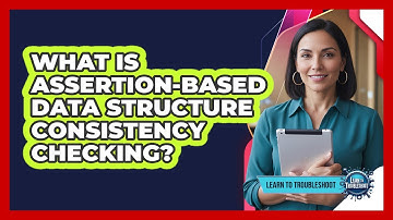 What Is Assertion-Based Data Structure Consistency Checking?