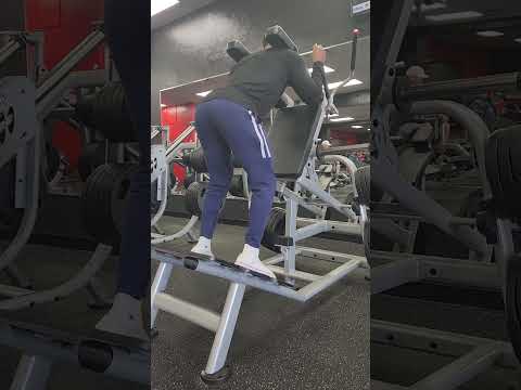 machine reverse hack squat