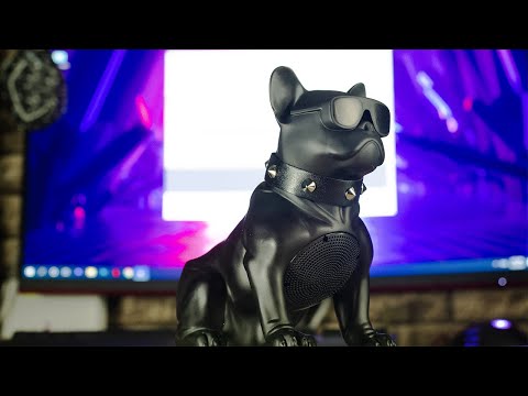 مراجعه عن سماعه بلوتوث علي شكل كلب