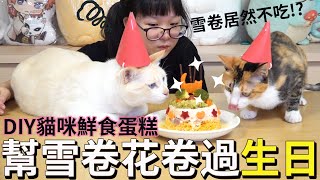 【DIY】花了3小時幫雪卷花卷做生日蛋糕 雪卷居然不吃!?[NyoNyoTV妞妞TV]