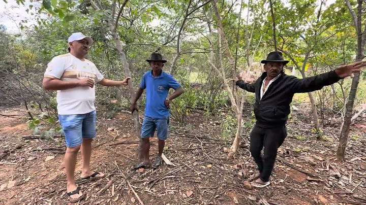 CHARLLES TROLA TIRINGA NO PÉ DE AVELÓS 😂 | CHÁCARA COMÉDIA SELVAGEM