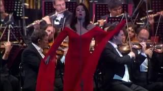 The Ecstasy of Gold (Live) - Ennio Morricone Orchestra Resimi