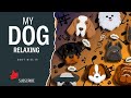 My dog relaxing therott tyzuu dogcasttveng doggowner zakgeorge lifewithbabymonsters 