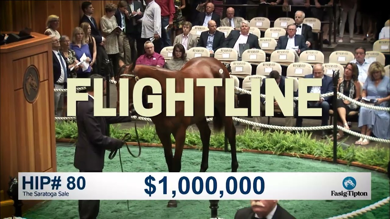 2023 Fasig-Tipton Saratoga Sale