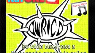 Karaokê - A Raposa E As Uvas - 4262