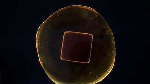 🤓 Spheroidal Magnetic Event Horizon. Fiber Optic Continuous light