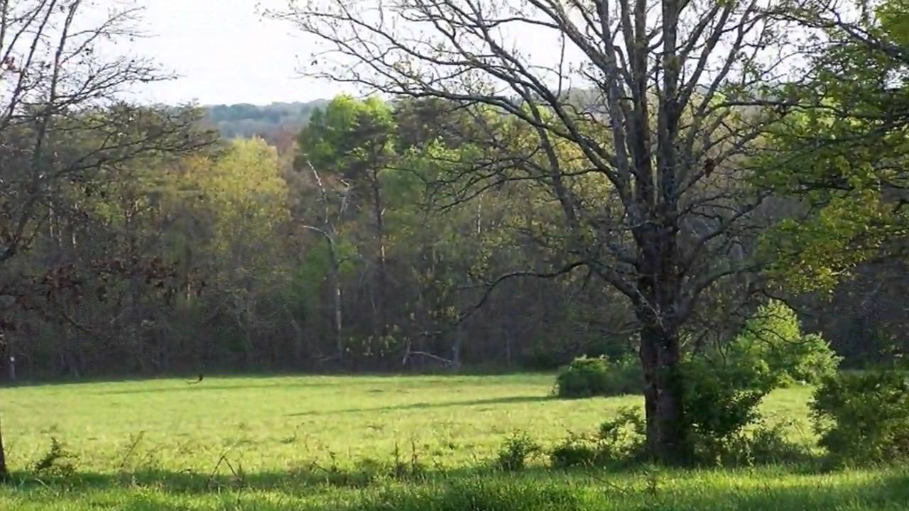 Real estate for sale in Spencer Tennessee MLS 1224914 YouTube