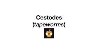 Cestodes (Tapeworms)