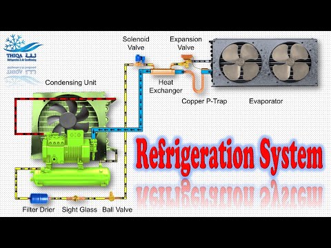 HVAC Working Principle of cold room Animation | English #refrigeration #chillers #hvac