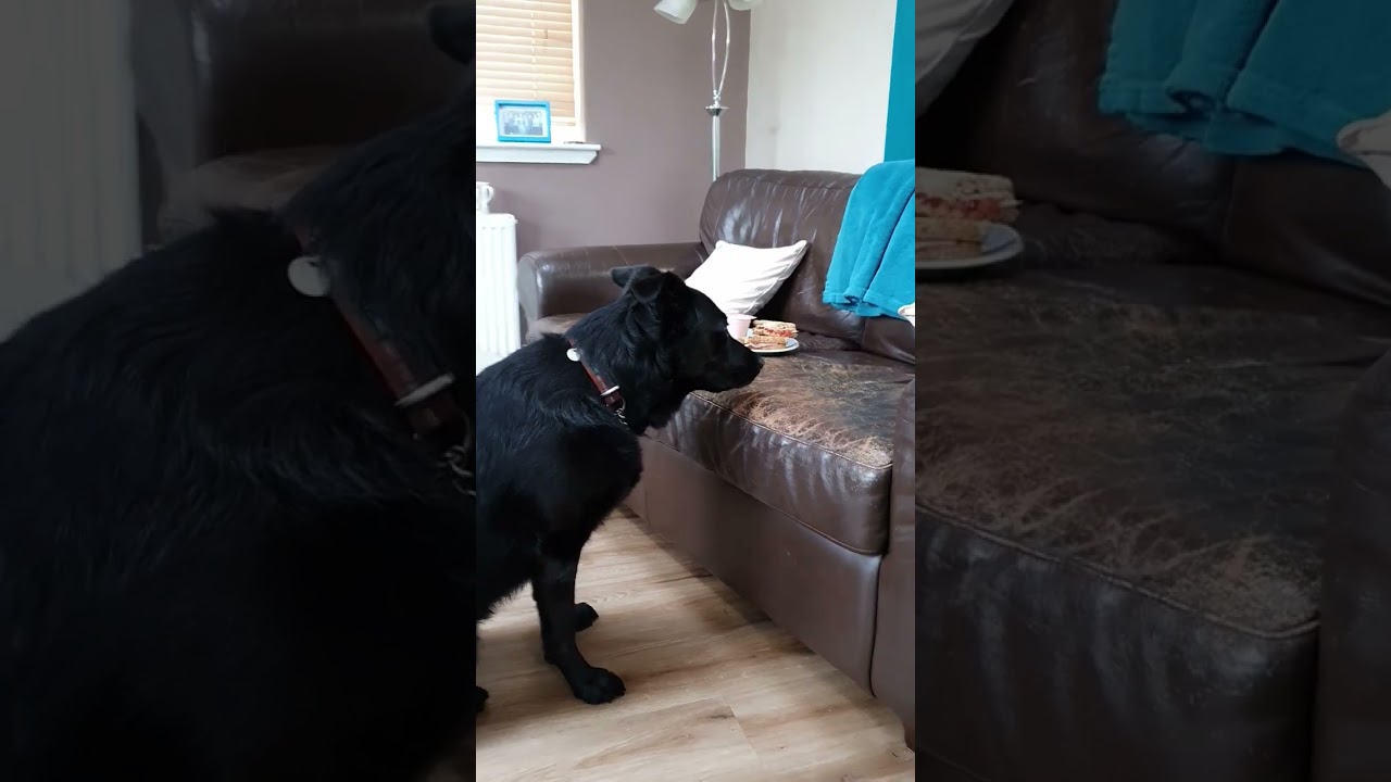 Will she or won't she? 