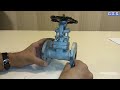 Piping engineering  ordinary gate valve internals